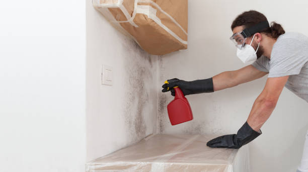 Professional Hvac And Air Duct Mold Remediation technician working in Pompton Lakes, NJ